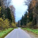 Autumn in the Kaluga forests